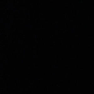 Meet your Posher, Ava